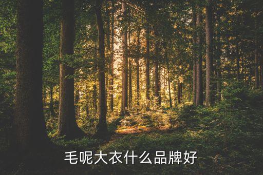 毛呢大衣什么品牌好