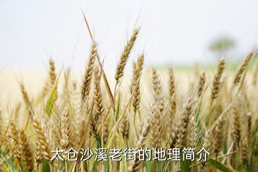 太倉利泰紡織有限公司,庫爾勒利泰絲路紡織有限公司招聘