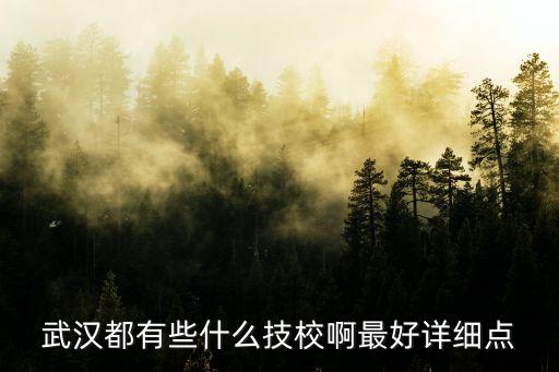 武漢都有些什么技校啊最好詳細(xì)點(diǎn)