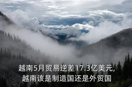  越南5月貿(mào)易逆差17.3億美元, 越南該是制造國還是外貿(mào)國