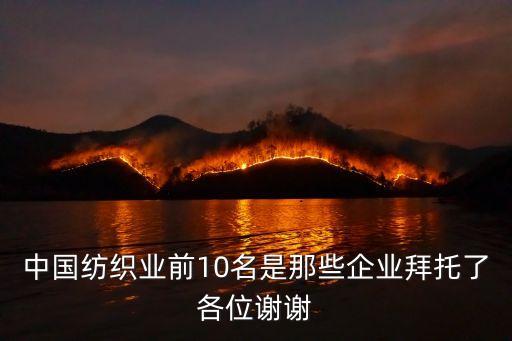 中國紡織業(yè)前10名是那些企業(yè)拜托了各位謝謝