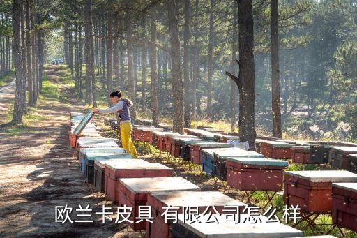 歐蘭卡皮具 有限公司怎么樣
