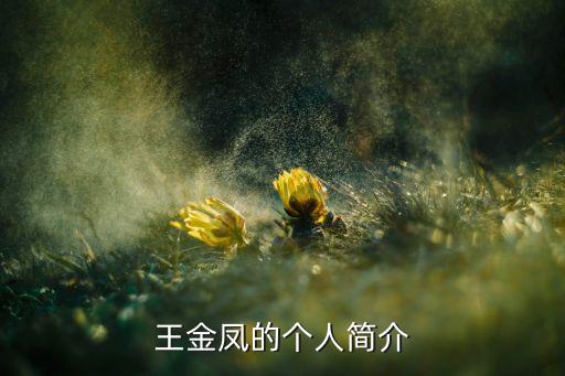 王金鳳的個人簡介