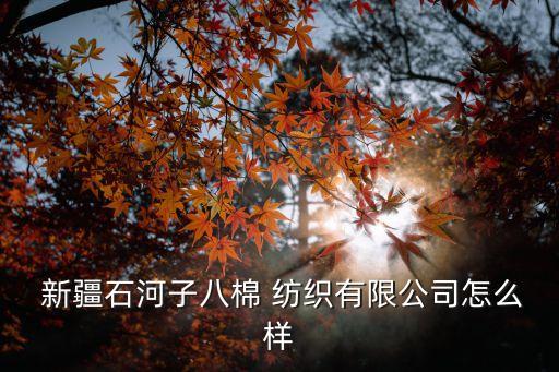  新疆石河子八棉 紡織有限公司怎么樣