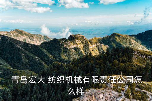  青島宏大 紡織機械有限責任公司怎么樣