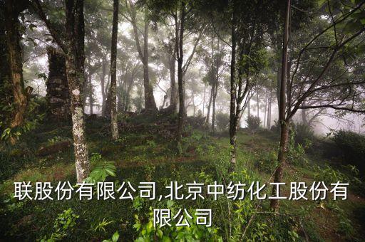中紡聯(lián)股份有限公司,北京中紡化工股份有限公司
