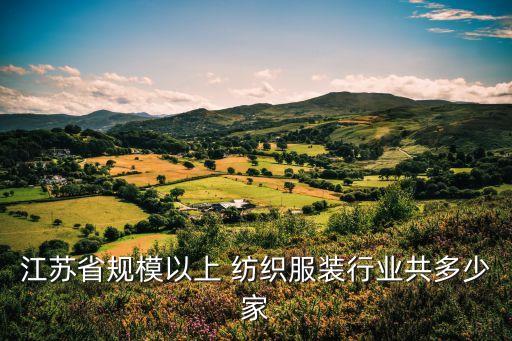 江蘇省規(guī)模以上 紡織服裝行業(yè)共多少家