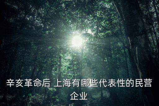 辛亥革命后 上海有哪些代表性的民營(yíng)企業(yè)