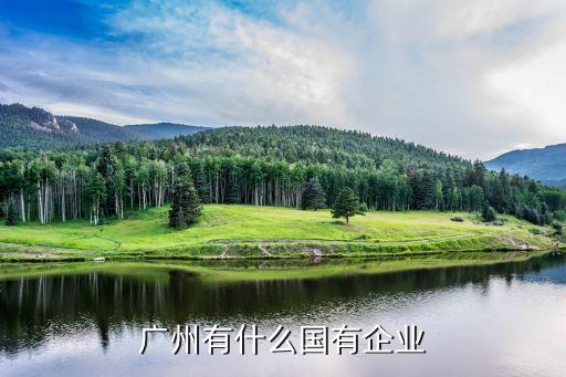 廣州市進出口紡織集團有限公司怎么樣,江西省紡織集團進出口有限公司是國企嗎