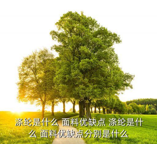 滌綸面料  松,滌綸是不是最差的面料