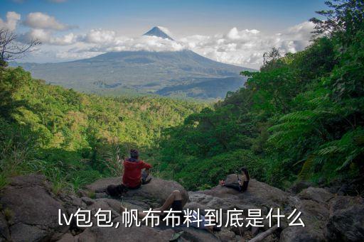 lv包包,帆布布料到底是什么