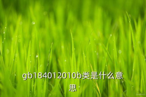 gb184012010b類是什么意思