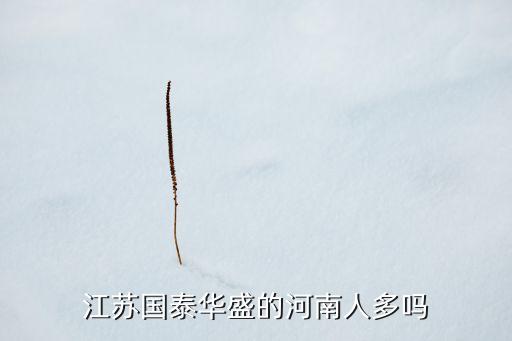 江蘇國泰華盛的河南人多嗎