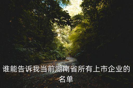 誰能告訴我當(dāng)前湖南省所有上市企業(yè)的名單