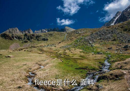 fleece是什么 面料