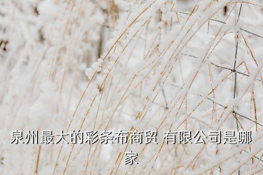 泉州最大的彩條布商貿(mào) 有限公司是哪家