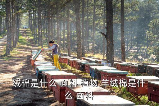 植物羊絨綿面料廠家,磨毛植物羊絨是什么面料