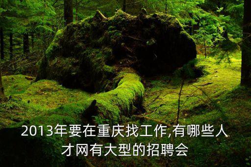 2013年要在重慶找工作,有哪些人才網(wǎng)有大型的招聘會(huì)