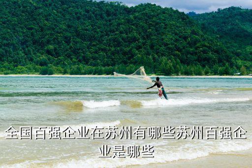 全國百強企業(yè)在蘇州有哪些蘇州百強企業(yè)是哪些