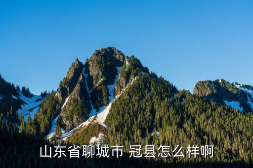 冠縣冠昌紡織地址,冠縣鑫昌紡織有限責任公司