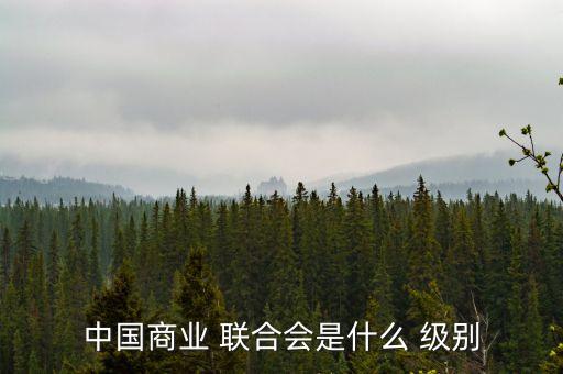 中國商業(yè) 聯(lián)合會是什么 級別