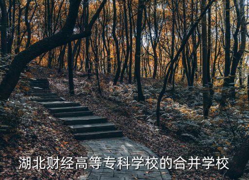 湖北財經(jīng)高等專科學(xué)校的合并學(xué)校