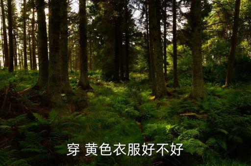 黃色面料