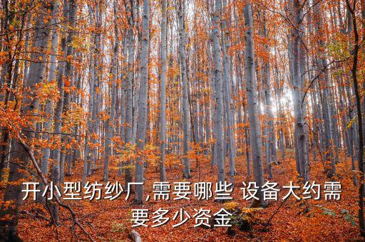 開小型紡紗廠,需要哪些 設(shè)備大約需要多少資金