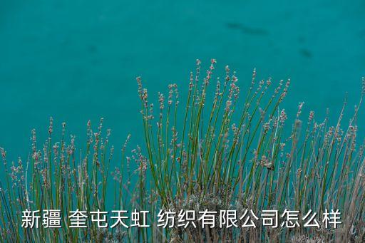 新疆 奎屯天虹 紡織有限公司怎么樣