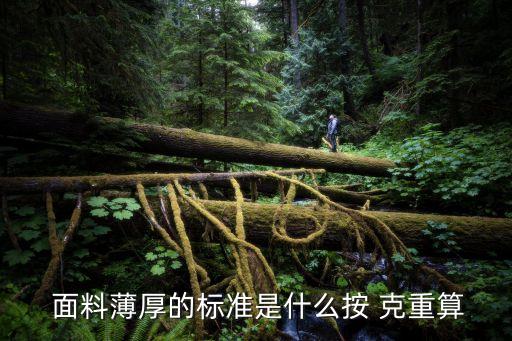  面料薄厚的標(biāo)準(zhǔn)是什么按 克重算