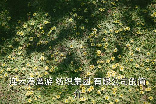 紡織有限公司公司簡介,江西信息產(chǎn)業(yè)有限公司的公司簡介