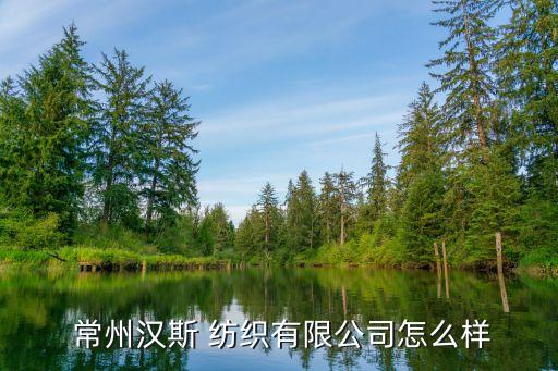  常州漢斯 紡織有限公司怎么樣
