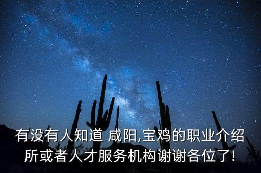 有沒有人知道 咸陽,寶雞的職業(yè)介紹所或者人才服務機構謝謝各位了!