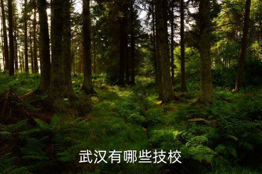 漢陽(yáng)紡織學(xué)院,漢陽(yáng)大學(xué)特殊大學(xué)院