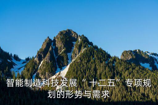 十二五戰(zhàn)略報(bào)告 紡織