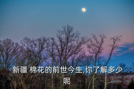 新疆天孚棉花供應鏈股份有限公司