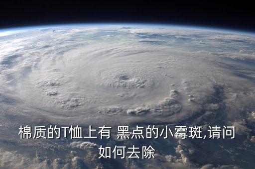 棉質(zhì)的T恤上有 黑點(diǎn)的小霉斑,請(qǐng)問如何去除