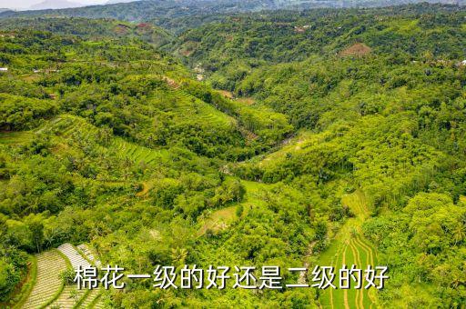 棉紡織比賽圖宣傳