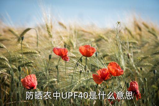 中國(guó)紡織工程學(xué)會(huì)專業(yè)委員會(huì)