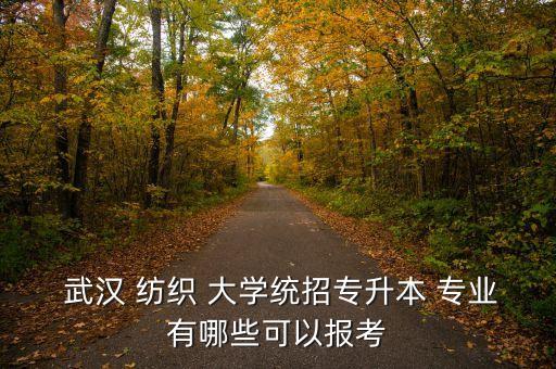 武漢紡織大學(xué)院校專業(yè)
