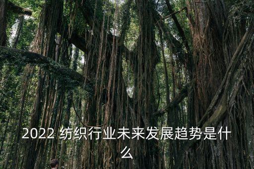 2022 紡織行業(yè)未來發(fā)展趨勢是什么