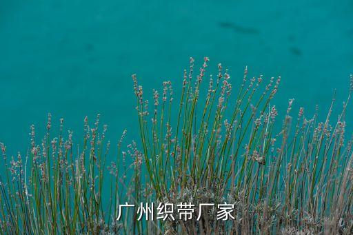 廣州織帶廠家
