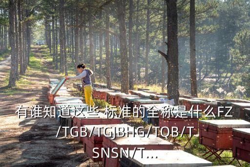有誰知道這些 標準的全稱是什么FZ/TGB/TGJBHG/TQB/TSNSN/T...