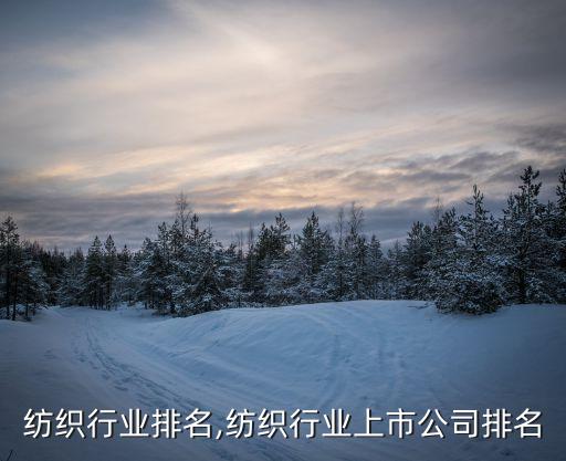 紡織行業(yè)排名,紡織行業(yè)上市公司排名