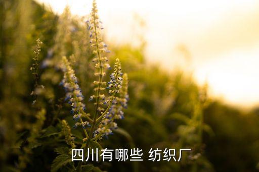  四川有哪些 紡織廠