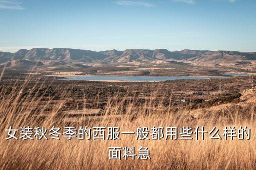 女裝秋冬季的西服一般都用些什么樣的 面料急