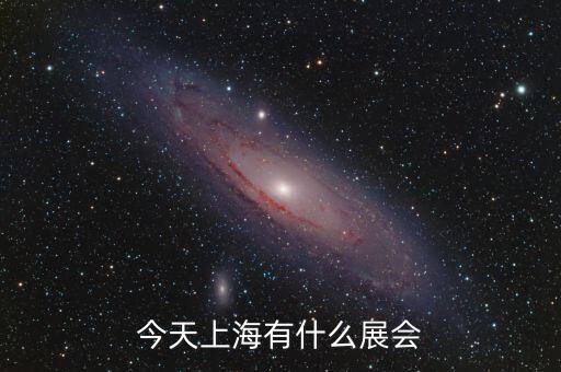 今天上海有什么展會