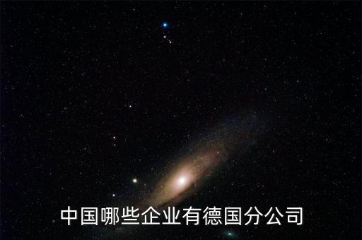 中國哪些企業(yè)有德國分公司