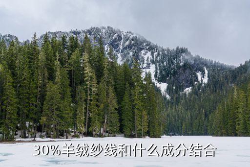 30%羊絨紗線和什么成分結(jié)合