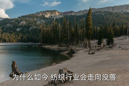 為什么如今 紡織行業(yè)會(huì)走向沒(méi)落